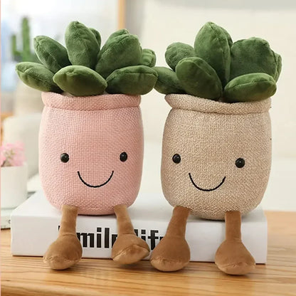 Succulent Flower Pot Desk Companion