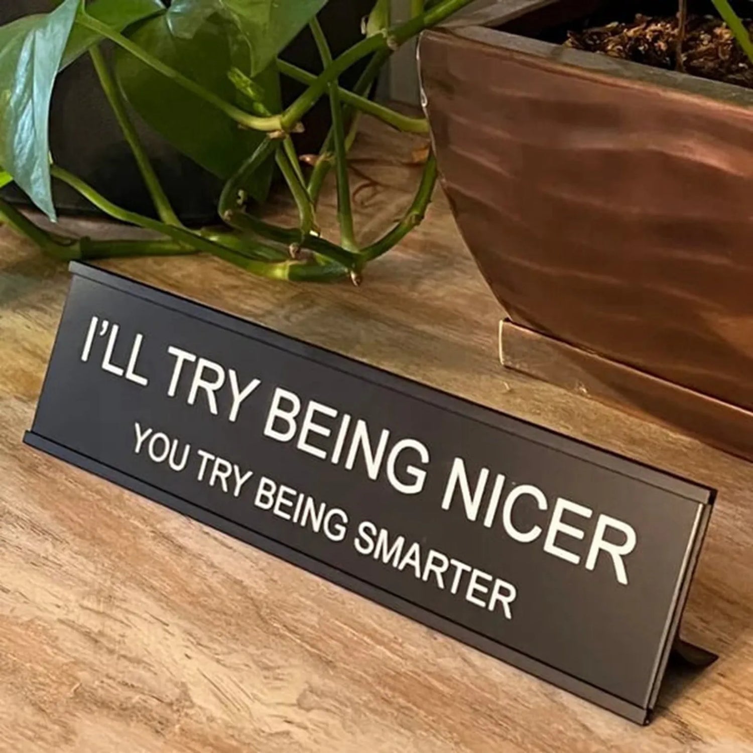 Sarcastic Acrylic Office Desk Signs