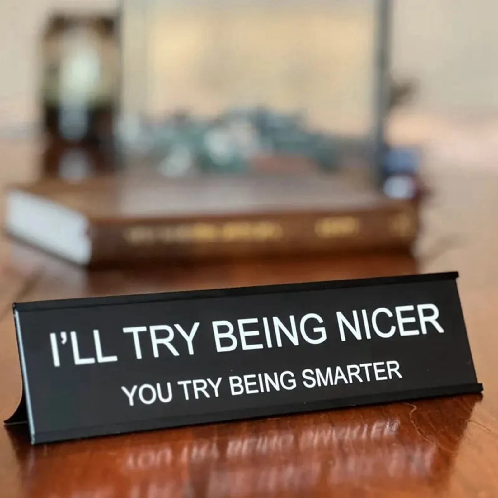 Sarcastic Acrylic Office Desk Signs